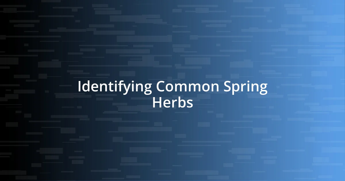 Identifying Common Spring Herbs